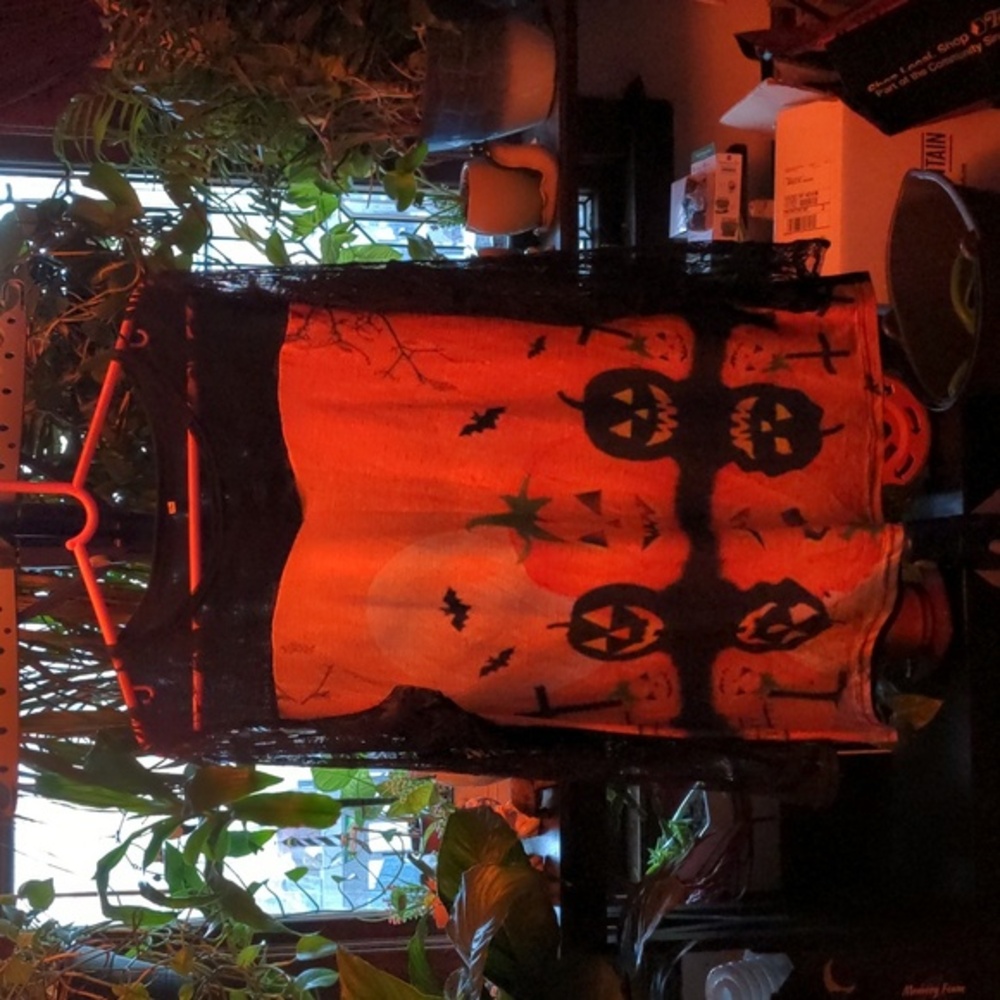 Halloween top. Never worn. Polyester and lace. Small 2X. Read